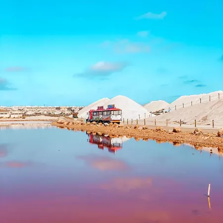 Monivo Near Center And